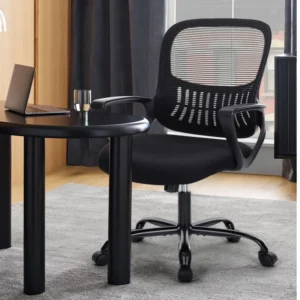 Drusilla Ergonomic Mesh Task Chair
